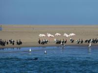 Walvis Bay