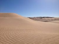 Wanderdünen Namib