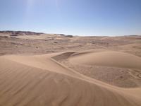 Wanderdünen Namib