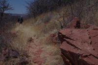 Wanderung am Mount Etjo