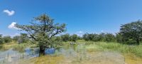 Wasser gestaltet die Landschaft neu