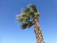 Wind in Lüderitz