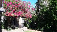Windhoek Pension Palmquell