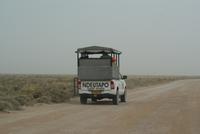 auf Safari