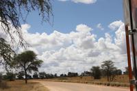 auf der Fahrt in Richtung Kalahari