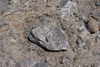 glitzernde Steine