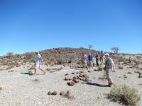 im Mesosaurus Camp