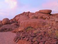 in der Namib