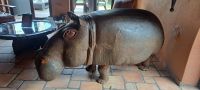 unser erstes und einziges Hippo