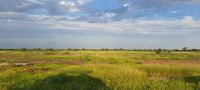 unterwegs im Etosha