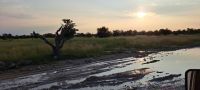wunderschöne Morgenstimmung