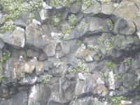 Halbinsel Snaelfessness