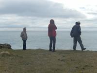 Halbinsel Snaelfessness