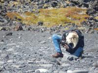 Halbinsel Snaelfessness