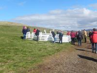 Halbinsel Snaelfessness