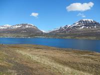 Panoramafahrt entlang der Ostfjorde