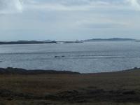 Panoramafahrt entlang der Ostfjorde