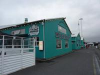 Aebendessen im Höfnin am Hafen von Reykjavik