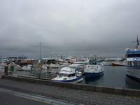 Hafen von Reykjavik
