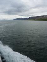 Walbeobachtung auf Island