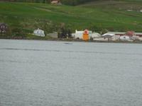 ...erster Wal in Sicht