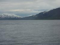 Walbeobachtung im Fjord bei Akureyri