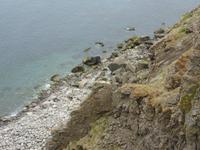 Steilküste am Vogelfelsen