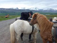 ...gar nicht so einfach