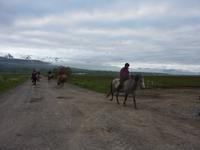 Rückkehr nach einer Stunde auf dem Rücken der Pferde