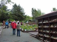 Zu Besuch in Petra´s Steinhaus