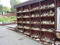 Steinesammlung in Petra´s Steinhaus