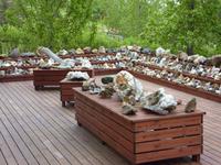 Steinesammlung in Petra´s Steinhaus