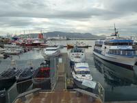 Island, Reykjavik, Abendesen am Hafen