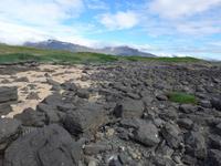 Island, Strand auf der Halbinsel Snaefellsnes