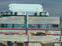 Island, Fahrt auf die Alm