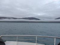 Island, Akureyri, Walbeobachtung