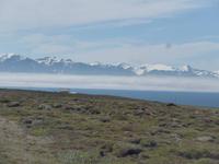 Island, Halbinsel Tjörnes, Kalte Wange