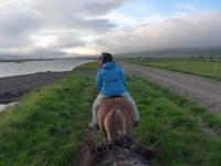 Island, Akureyri, Reitausflug