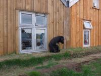 Island, Kaffeepause ganz abgelegen