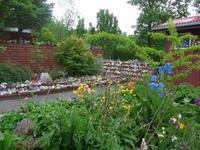 Island, Petras Steinhaus und Garten