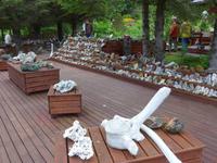 Island, Petras Steinhaus und Garten