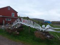 Island, Museum in Djupivogur