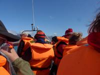 Island, Gletscherlagune 