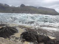Island, Weg am Svinafellsjökull