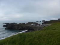 Island, Küste bei Dyrholaey