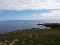 Halbinsel Snaefellsnes