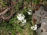 Halbinsel Snaefellsnes