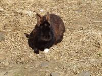 Pause auf dem Bauernhof