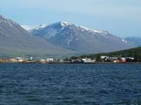 Walsafari bei Akureyri
