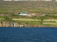 Walsafari bei Akureyri